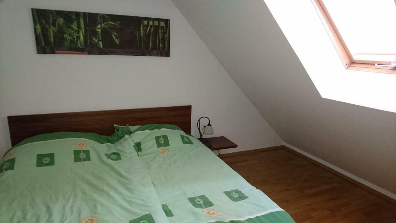 Villa Apartma Geoteh Terme Catez 6032 à Krško Extérieur photo