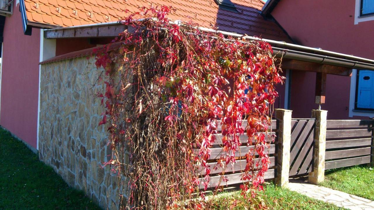Villa Apartma Geoteh Terme Catez 6032 à Krško Extérieur photo